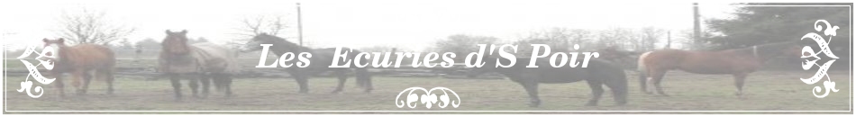 Les Ecuries d'S Poir
